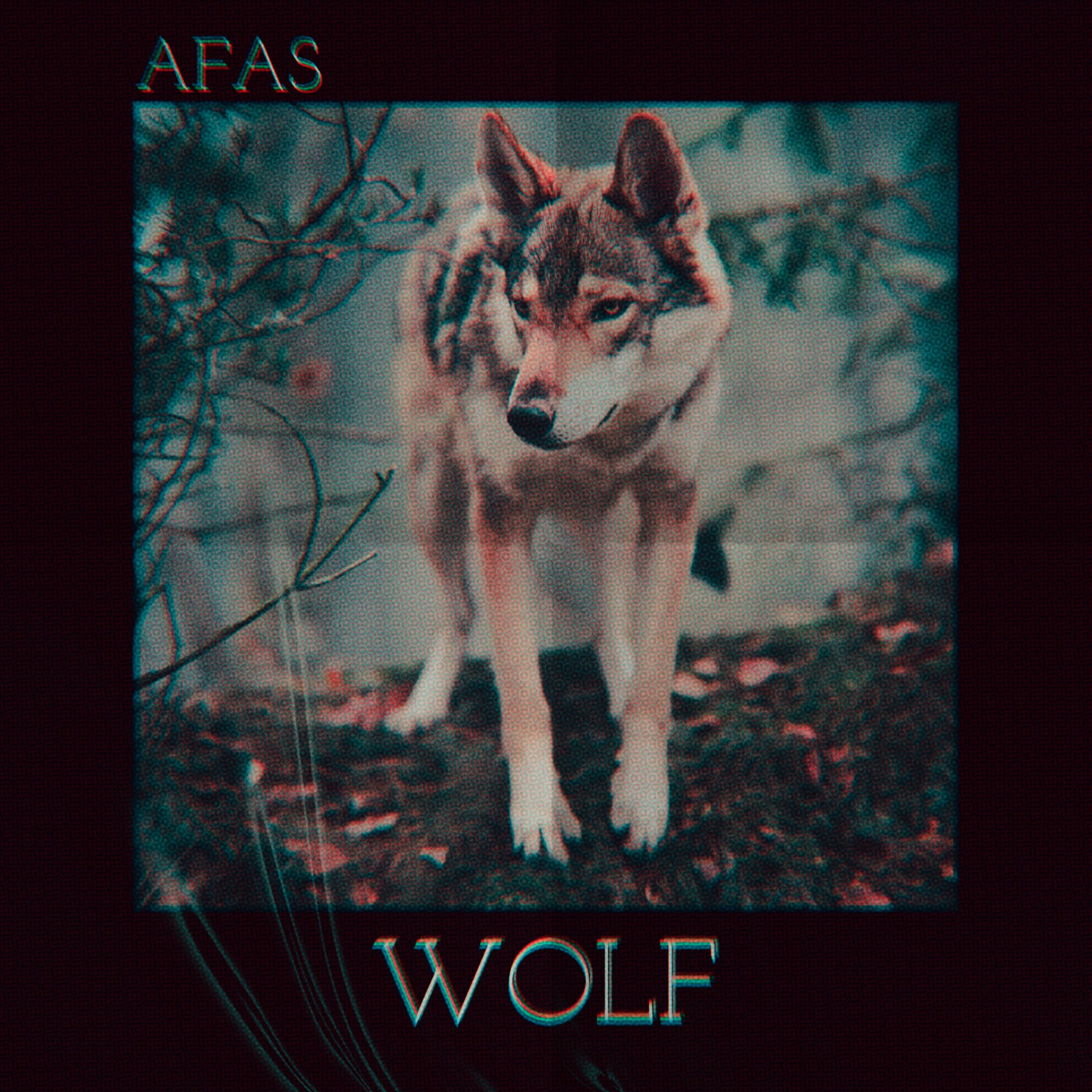 Добрый волки песню. Волк альбом. Wolf Wolf альбом. Музыкальный волк. Волки muzika.